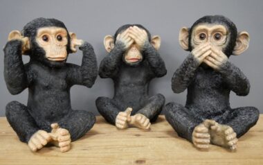 See No Evil Tri Monkey Set